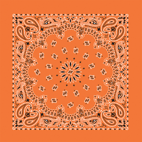 BANDANNA Paisley Orange 12pk