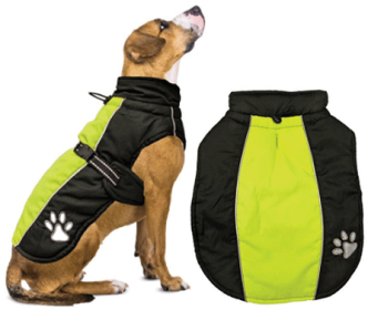 FASHION PET Sporty Jacket Black/Green M