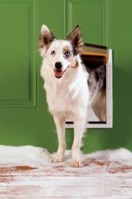 PetSafe Extreme Weather Pet Door (size: medium)