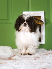 PetSafe Extreme Weather Pet Door (size: small)