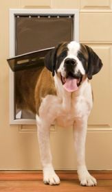 PetSafe Freedom Pet Door (size: Extra Large)