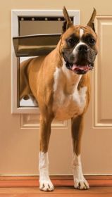 PetSafe Freedom Pet Door (size: large)