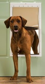 PetSafe Plastic Dog Door (size: Extra Large)