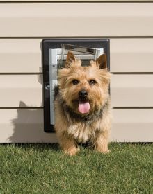 PetSafe Wall Dog Door (size: small)